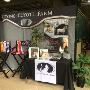 Planning Your Show Barn Setup Sea Horse Stall Drapes
