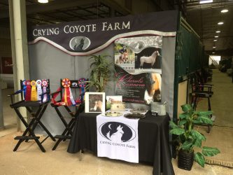 Sea Horse Stall Drapes Website Archives Sea Horse Stall Drapes